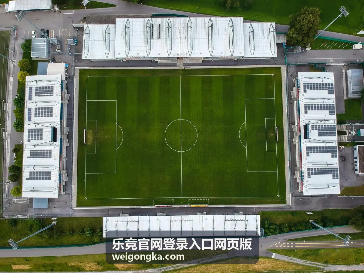 电脑端乐竞官网登录入口网页版